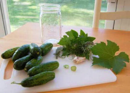 Quick and Easy Fermented Dill Pickles Image